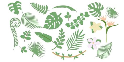 Ensemble de feuilles tropicales florales individuelles | Vecteur Premium