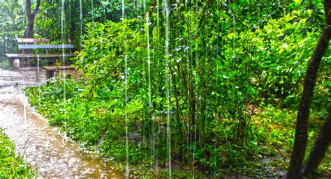 Home Warranty Plans & Policies | Liberty Home Guard