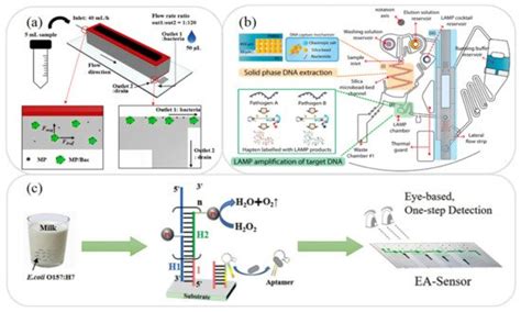 Sample Pretreatment of Microfluidic Devices | Encyclopedia MDPI