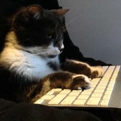 Undertale Admin Character 的图像结果