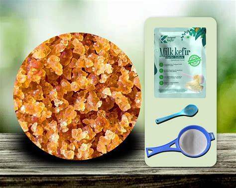 Feelgood Kefir™ - De-Hydrated Water Kefir Grains (Around 25 grams on Re ...