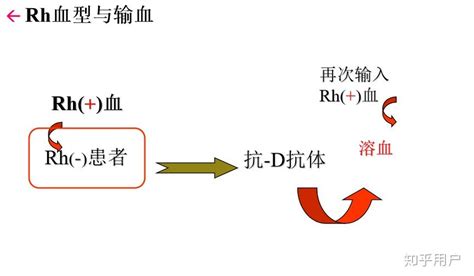 ABO血型系统的分型依据是什么-