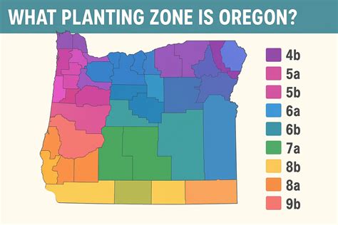 What Planting Zone is Oregon? Full USDA Map & Tips