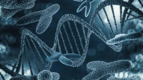 Is the Y chromosome really disappearing? Here’s what the science ...