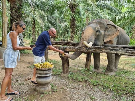 SONCHANA FARM AND ELEPHANT SANCTUARY (2026) All You Need to Know BEFORE ...