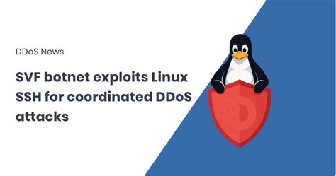 Botnet Exploits 的图像结果