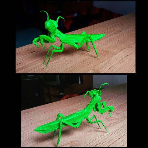 Robert J Lang Praying Mantis