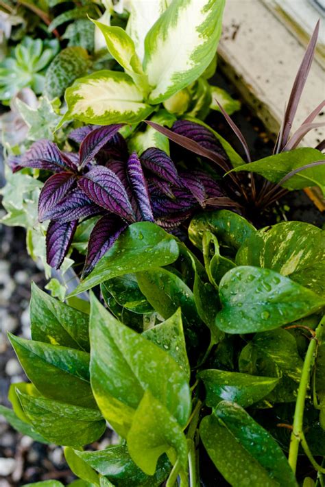 Image result for Homemade Window Box