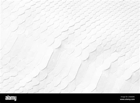 Image result for Python Snake Texture Pattern