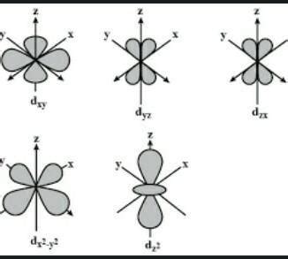 draw the shapes of P-subshell? - Brainly.in