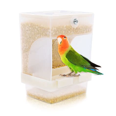 10 Best Automatic Conure Bird Feeders for Hassle-Free Feeding ...
