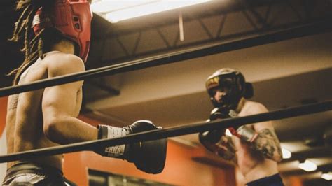 Boxing Counter Attacks 的图像结果