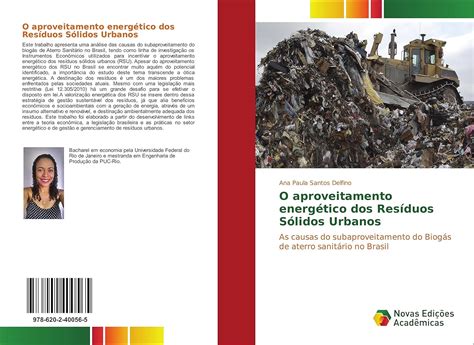 O aproveitamento energético dos Resíduos Sólidos Urbanos: As causas do ...