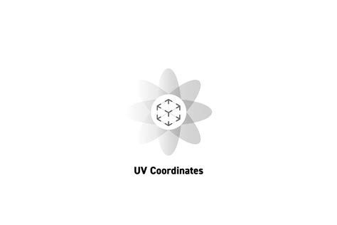 UV Coordinates 的图像结果