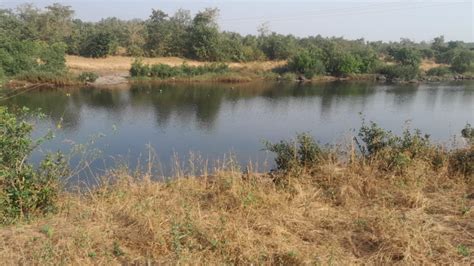 7 Acre Agricultural/Farm Land for Sale in Shahapur, Thane - by Shree ...