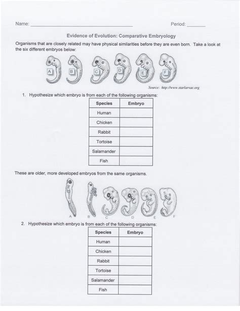 Evidence Of Evolution Worksheet Answers – Owhentheyanks.com