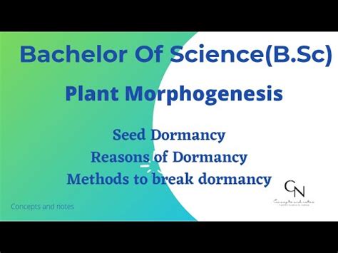 Seed dormancy, Reasons of dormancy and Methods to break dormancy Video ...
