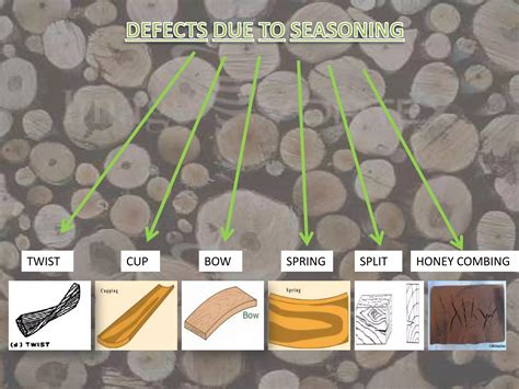 Image result for Defects in Timber