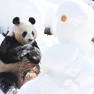 No-Trade No Killing 的图像结果