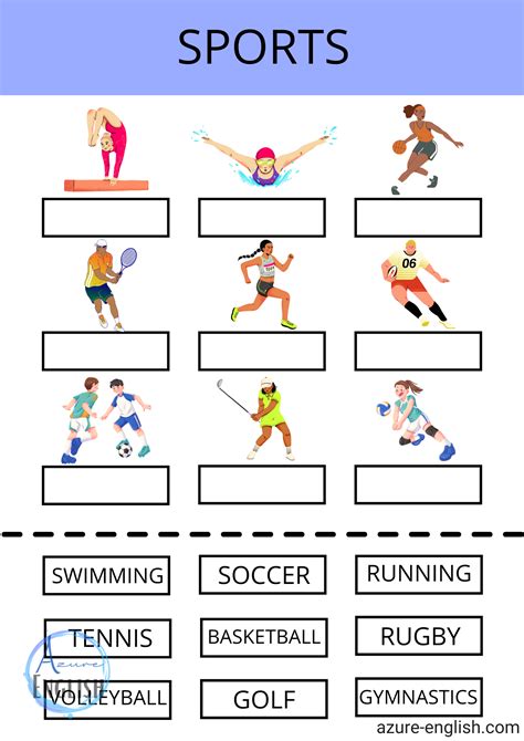 Sports Worksheet 的图像结果