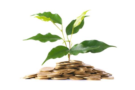 Loader Types 的图像结果