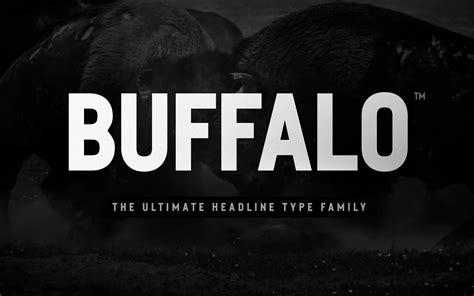 30+ Best Headline Fonts - Perfect for Headers & Titles