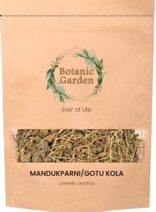 botanic garden Centella Asiatica Raw Herb | Brahmabuti | Indian Water ...