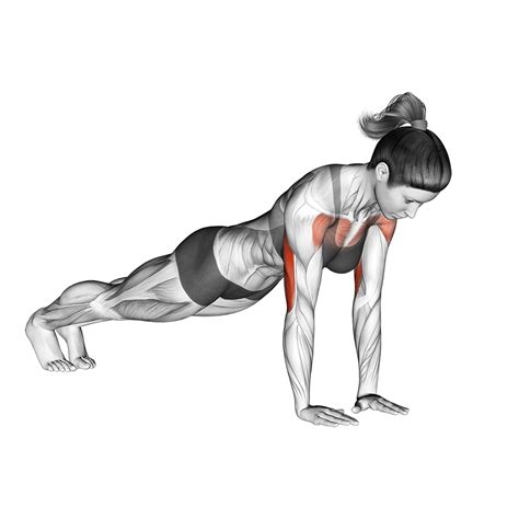 Forearm Push Ups: Benefits, Muscles Worked, and More - Inspire US
