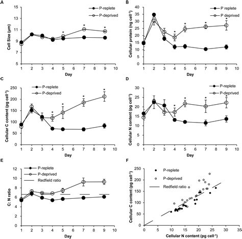 Frontiers | Phosphorus Deficiency Inhibits Cell Division But Not Growth ...