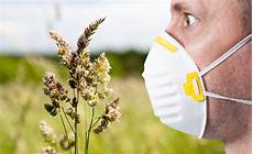 allergia alle graminacee alimenti vietati allergia alle graminacee e reazioni crociate gli alimenti allergia alle graminacee alimenti vietati allergia alle graminacee e reazioni crociate gli alimenti