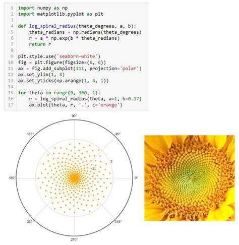 Image result for Lee Algorithm Python