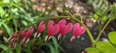 🔊 헷갈리는 영어 부사 loud, loudly, aloud, out loud 완벽 정리!