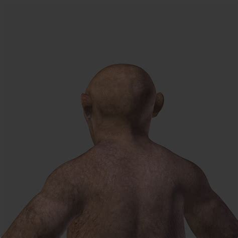 Image result for Australopithecus Simulation