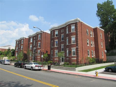 Pest Control Springfield MA - Insight Pest Solutions