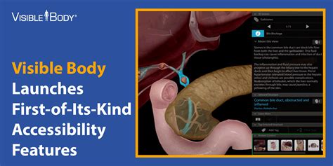 Image result for Visible Body Courseware