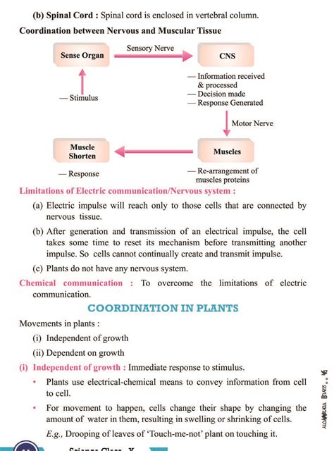 Image result for Control and Coordination Class 12