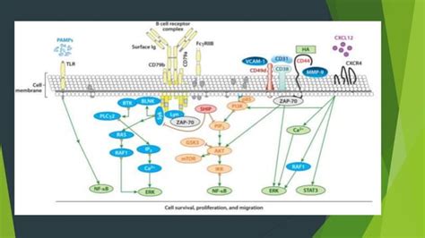 CLL Method 的图像结果