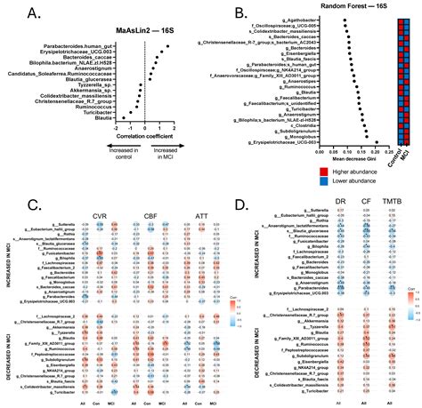 Gut Microbiota and Neurovascular Patterns in Amnestic Mild Cognitive ...