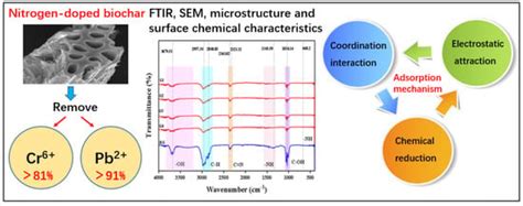 Preparation of Nitrogen-Doped Biochar and Its Adsorption Performance ...