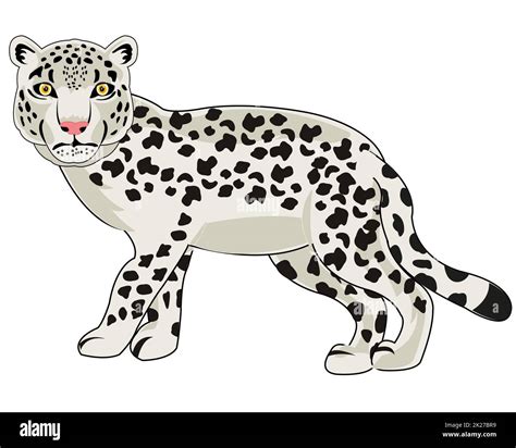 Vector illustration of the wildlife snow snow leopard cartoon Stock ...