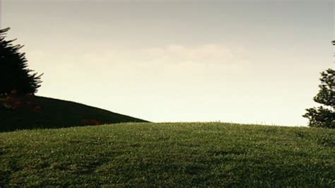 Image result for Teletubbies Magic House Tree Backwards