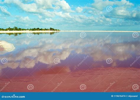 Image result for Simple HtmlTable Example