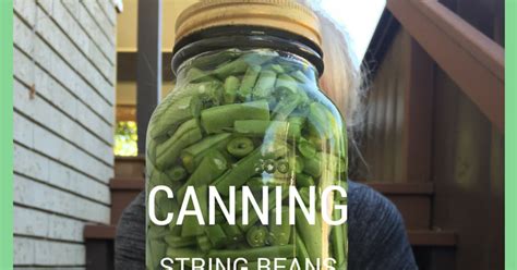 Canning String Beans Recipe 的图像结果