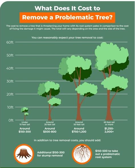 Tree Root Removal Cost 的图像结果