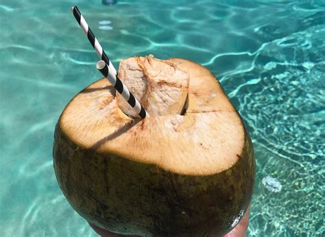 Coconut Water When Breastfeeding - Good or Bad Idea? - Infant Empire