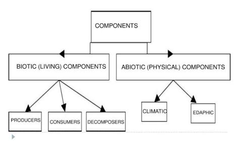 Explain the components of environment with a neat diagramanswer fast ...