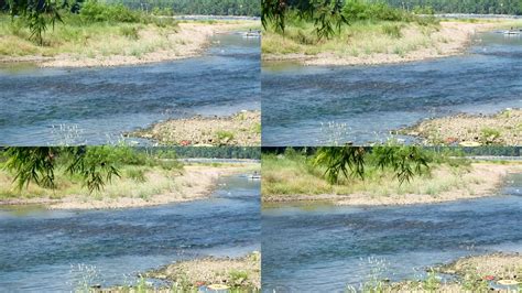 丛林小溪水流GIF动图图片-正版gif素材401061480-摄图网