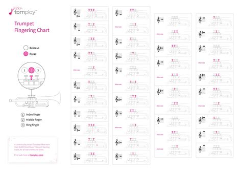 Trumpet High Notes Finger Chart at Patrick Jefferson blog
