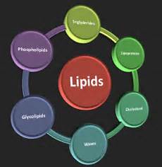 Uipi8ds pg neet lipids mcqs archives pg neet Uipi8ds pg neet lipids mcqs archives pg neet