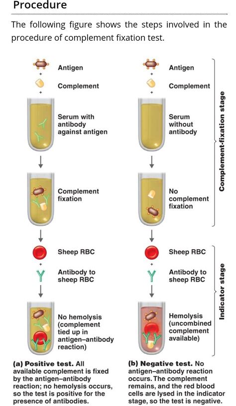 Image result for Complemention Testing
